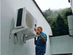 19日 19日的分類(lèi)